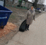 На территории города Сурска продолжаются работы по благоустройству - Город Сурск
